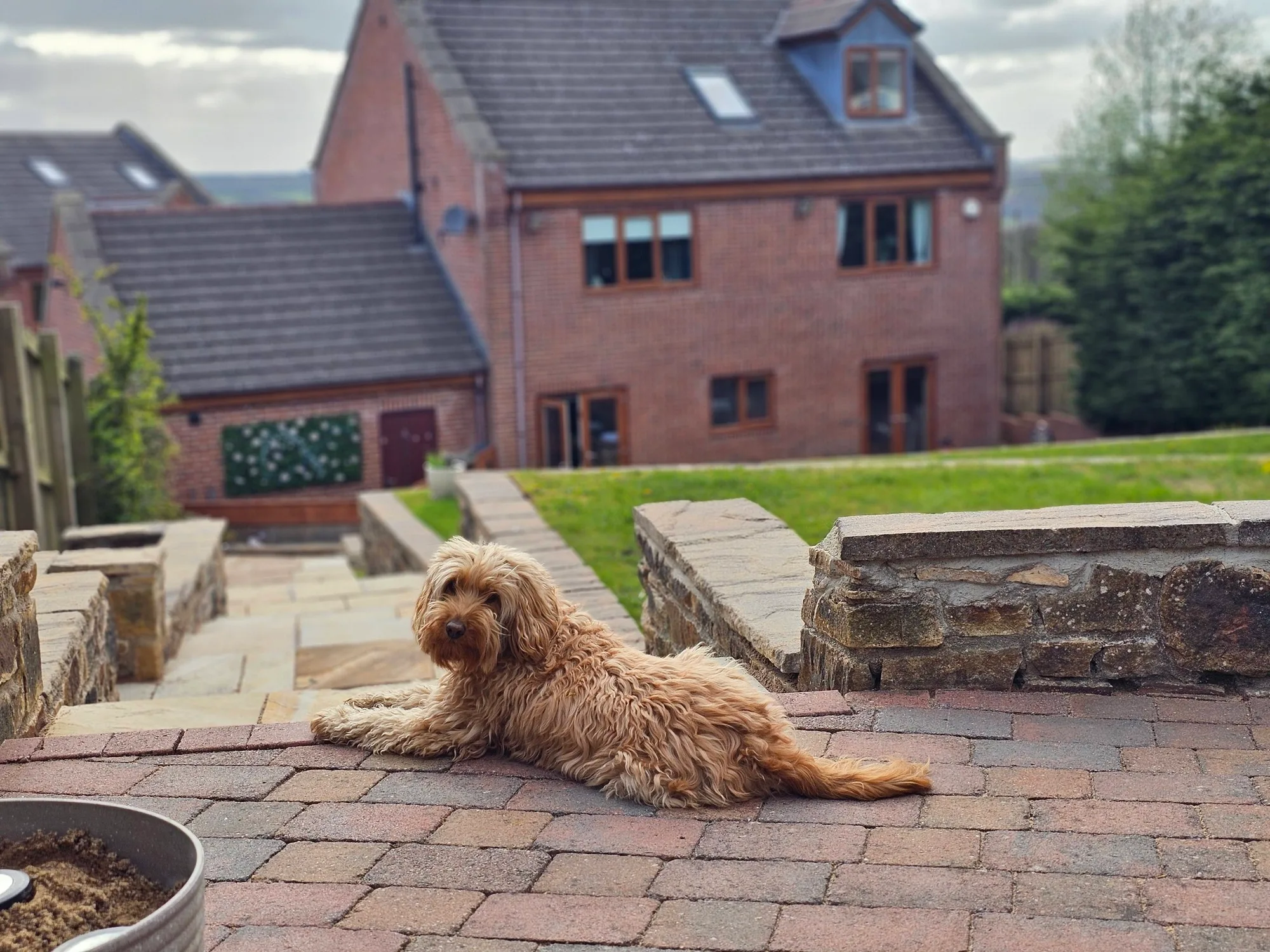 Dog friendly stay 14