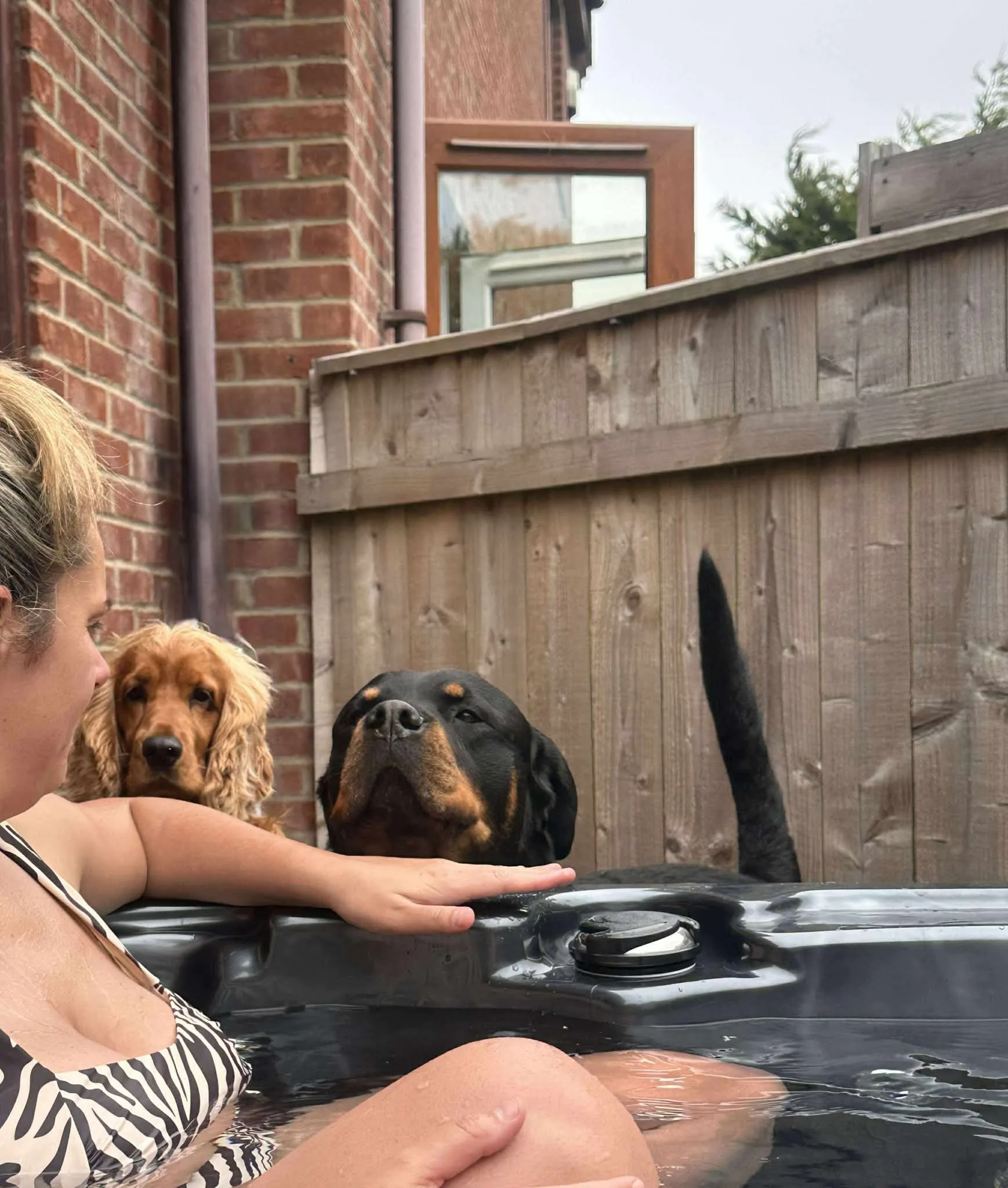 Dog friendly stay 17