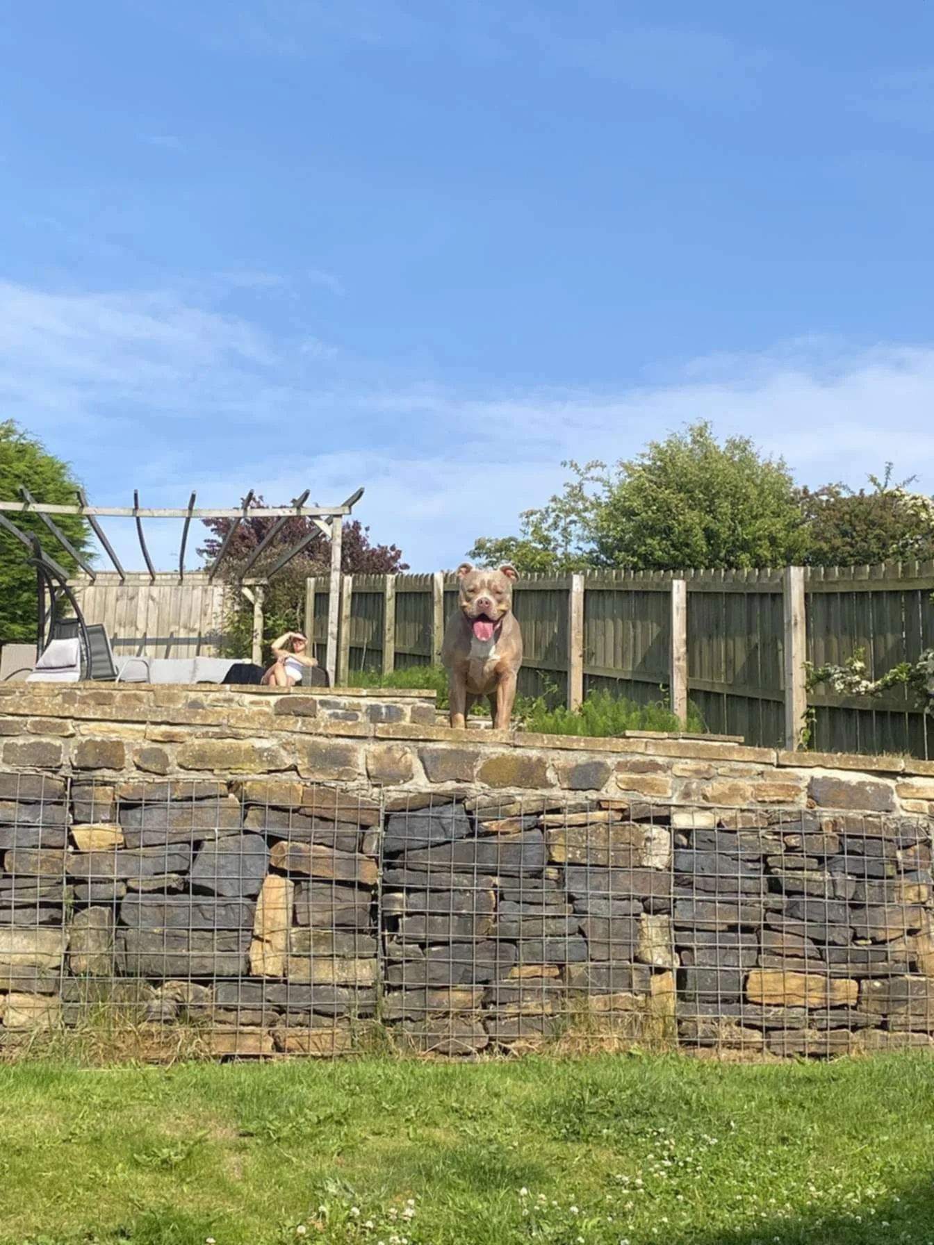 Fence heights, listed